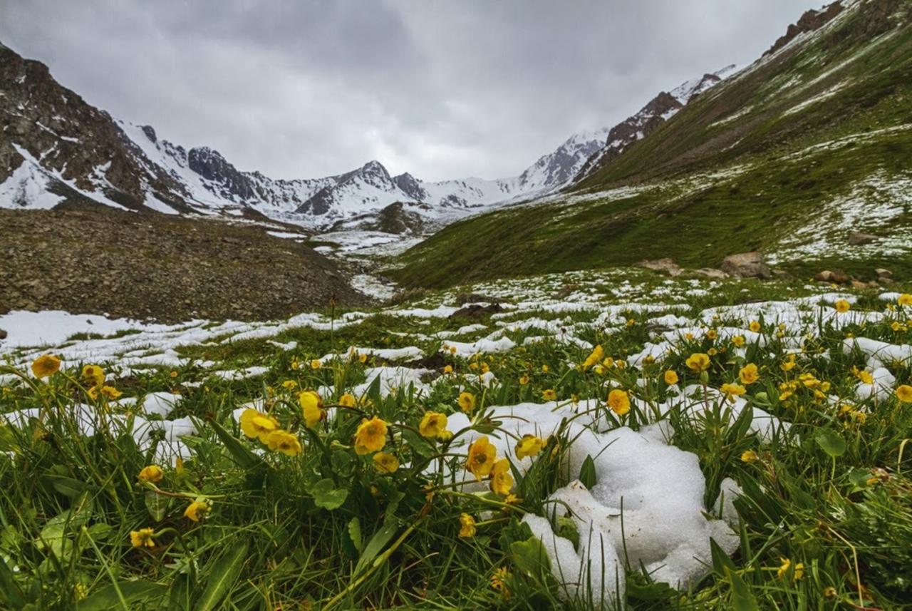 Алтын-Арашан, Путь На Оз,Ала-Куль Teploklyuchenka Dış mekan fotoğraf